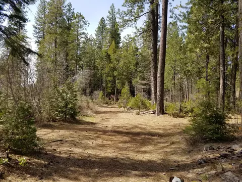 32952 100 Rd, Shingletown, CA 96088 photo 55