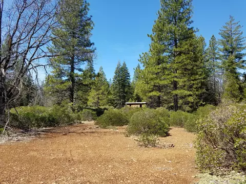 32952 100 Rd, Shingletown, CA 96088 photo 42