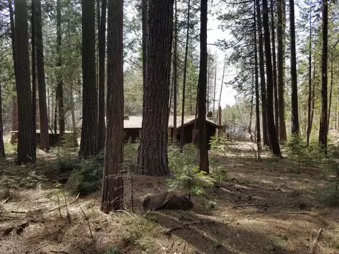 32952 100 Rd, Shingletown, CA 96088 photo 35