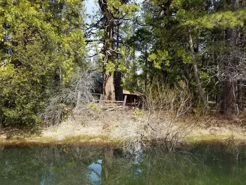 32952 100 Rd, Shingletown, CA 96088 photo 52