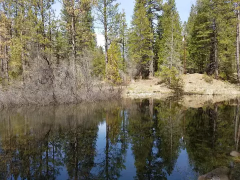 32952 100 Rd, Shingletown, CA 96088 photo 24