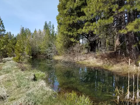 32952 100 Rd, Shingletown, CA 96088 photo 14