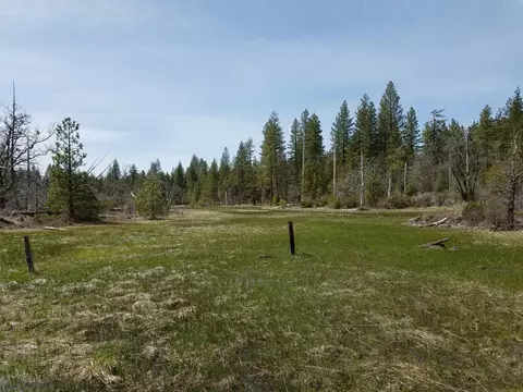 32952 100 Rd, Shingletown, CA 96088 photo 30