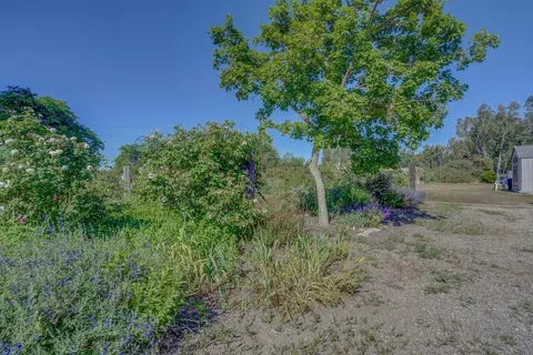 View/Area - 2578 Co Rd I, Willows, CA 95988 photo 1 of 13