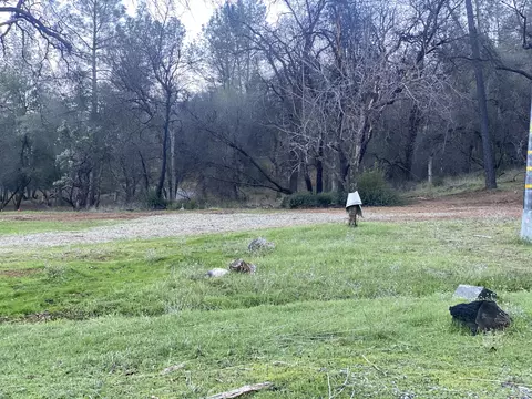 13582 Echo Hill Rd, Redding, CA 96003 photo 13
