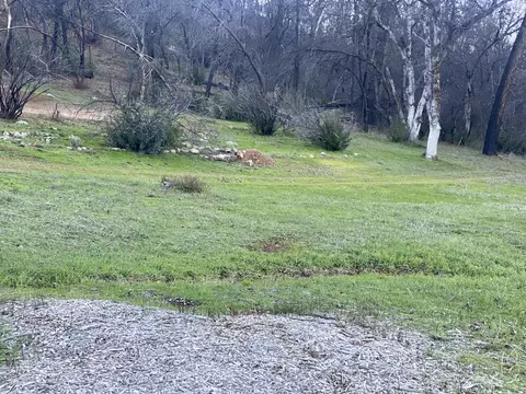 13582 Echo Hill Rd, Redding, CA 96003 photo 2