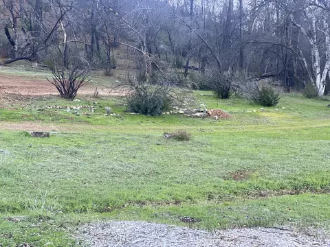 13582 Echo Hill Rd, Redding, CA 96003 photo 10