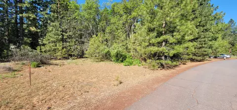 Soldier Mountain Rd, Fall River Mills, CA 96028 photo 5