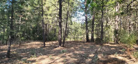 Soldier Mountain Rd, Fall River Mills, CA 96028 photo 7