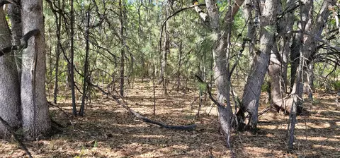 Soldier Mountain Rd, Fall River Mills, CA 96028 photo 6