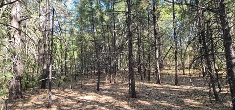 Soldier Mountain Rd, Fall River Mills, CA 96028 photo 8