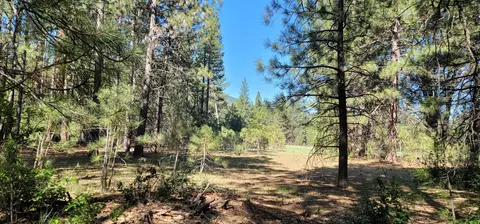 Soldier Mountain Rd, Fall River Mills, CA 96028 photo 9