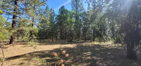 Soldier Mountain Rd, Fall River Mills, CA 96028 photo 14