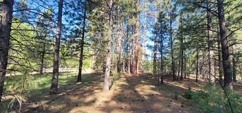 Soldier Mountain Rd, Fall River Mills, CA 96028 photo 18
