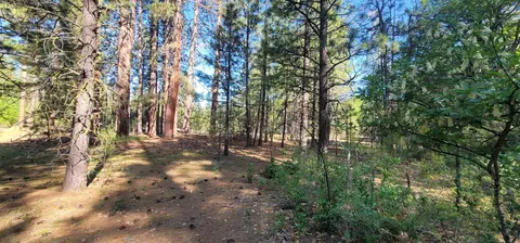 Soldier Mountain Rd, Fall River Mills, CA 96028 photo 19