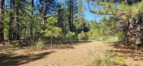 Soldier Mountain Rd, Fall River Mills, CA 96028 photo 11