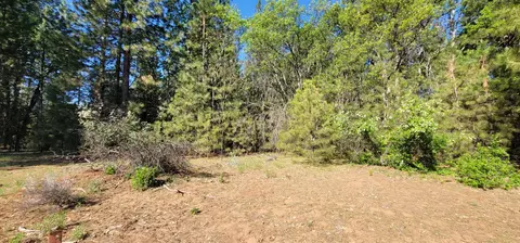 Soldier Mountain Rd, Fall River Mills, CA 96028 photo 4