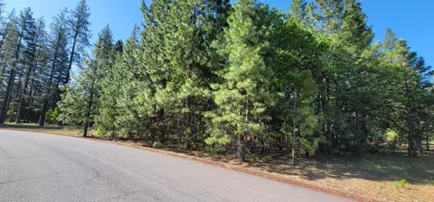 Soldier Mountain Rd, Fall River Mills, CA 96028 photo 3