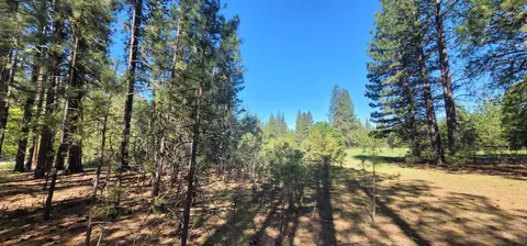 Soldier Mountain Rd, Fall River Mills, CA 96028 photo 16