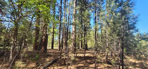 Soldier Mountain Rd, Fall River Mills, CA 96028 photo 15