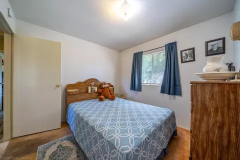 6460 Jayna Ln, Anderson, CA 96007 photo 21