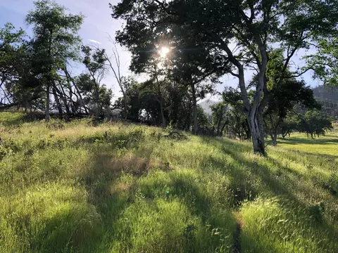 Zogg Mine Rd, Igo, CA 96047 photo 14