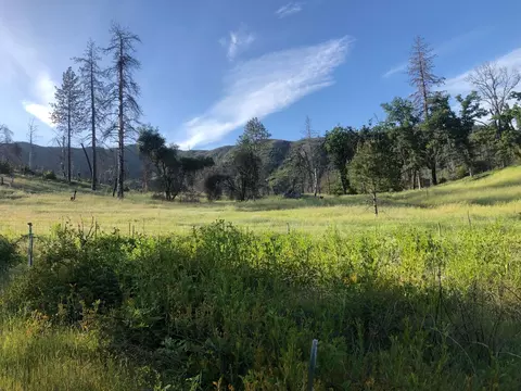 Zogg Mine Rd, Igo, CA 96047 photo 34