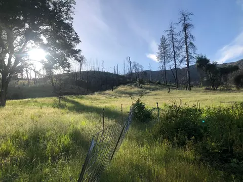 Zogg Mine Rd, Igo, CA 96047 photo 35