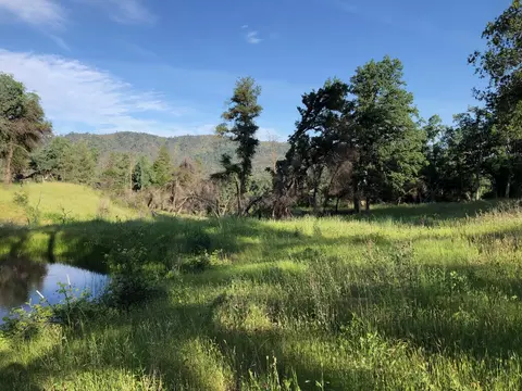 Zogg Mine Rd, Igo, CA 96047 photo 15