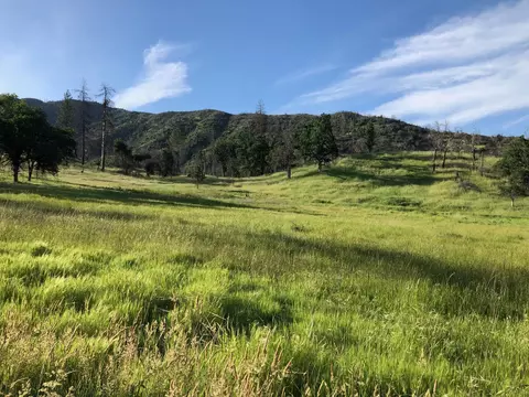 Zogg Mine Rd, Igo, CA 96047 photo 21