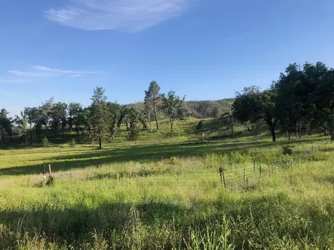Zogg Mine Rd, Igo, CA 96047 photo 31