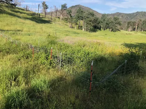 Zogg Mine Rd, Igo, CA 96047 photo 24