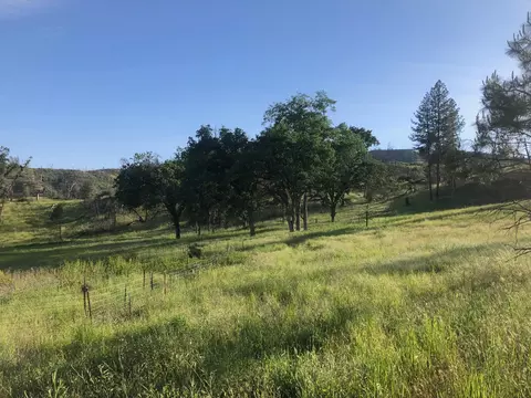 Zogg Mine Rd, Igo, CA 96047 photo 30