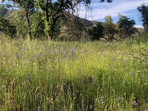 Zogg Mine Rd, Igo, CA 96047 photo 27