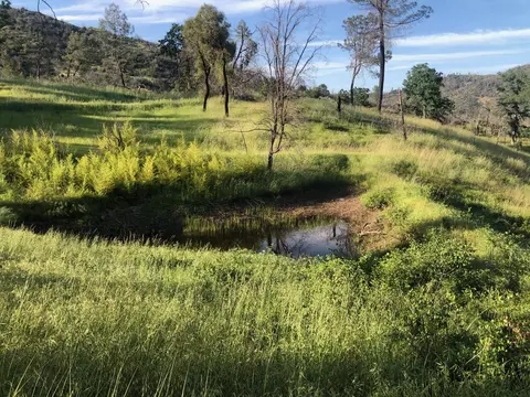 Zogg Mine Rd, Igo, CA 96047 photo 38