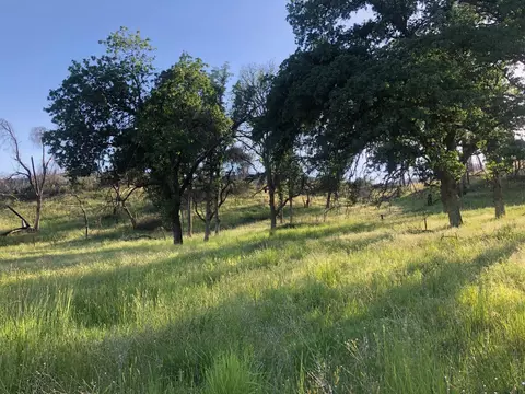 Zogg Mine Rd, Igo, CA 96047 photo 37