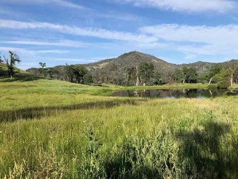 Zogg Mine Rd, Igo, CA 96047 photo 19