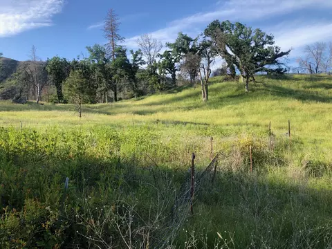 Zogg Mine Rd, Igo, CA 96047 photo 33