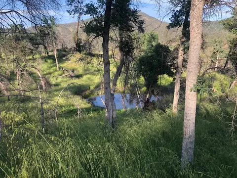 Zogg Mine Rd, Igo, CA 96047 photo 39