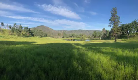 Zogg Mine Rd, Igo, CA 96047 photo 32