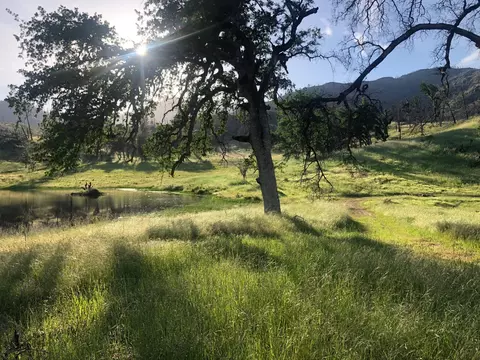 Zogg Mine Rd, Igo, CA 96047 photo 40