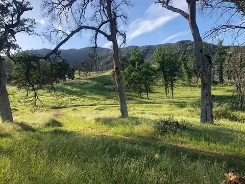 Zogg Mine Rd, Igo, CA 96047 photo 41