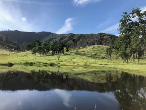 Zogg Mine Rd, Igo, CA 96047 photo 9