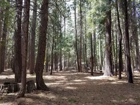 9340 Thatcher Mill Rd, Shingletown, CA 96088 photo 24