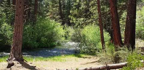 43049 Hat Creek Dr, Old Station, CA 96071