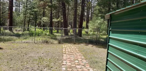 43049 Hat Creek Dr, Old Station, CA 96071 photo 6