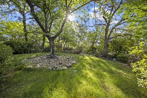 15585 Mountain Shadows Dr, Redding, CA 96001 photo 28