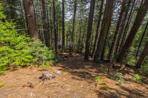 2 Morgan Ave, Mineral, CA 96063