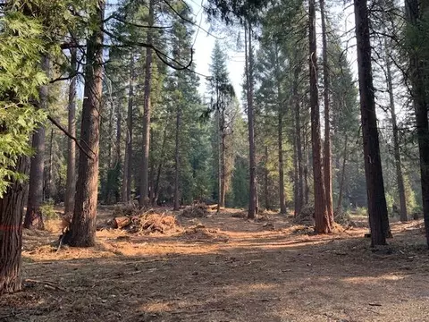 0 Mountain Meadowcorinthians, Shingletown, CA 96088 photo 2
