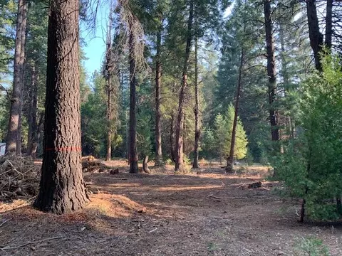 0 Mountain Meadowcorinthians, Shingletown, CA 96088 photo 3